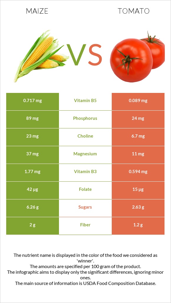 Maize vs Tomato infographic