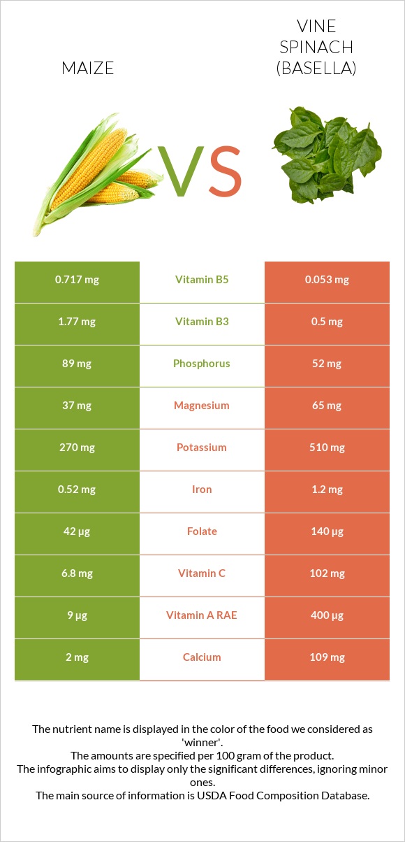 Եգիպտացորեն vs Vine spinach (basella) infographic