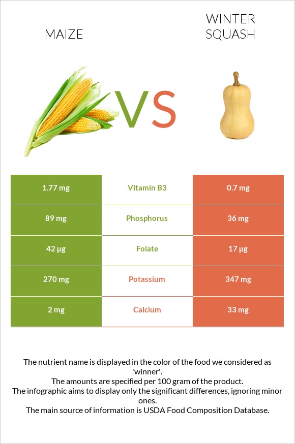 Corn vs Winter squash infographic