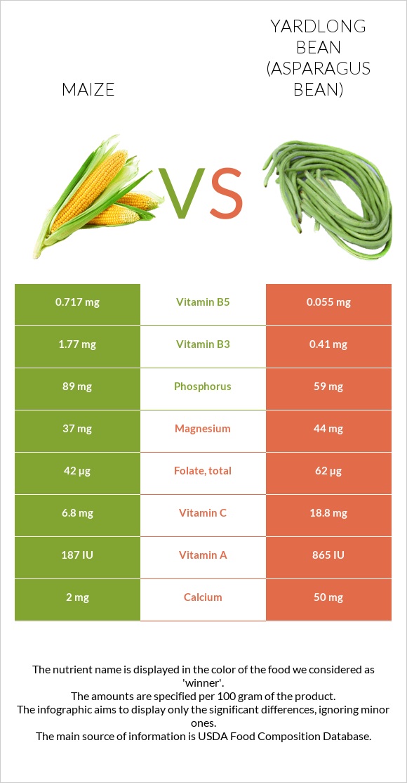 Maize vs Yardlong bean (Asparagus bean) infographic