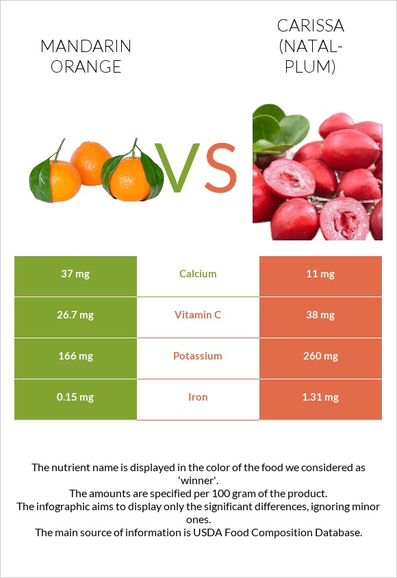 Mandarin orange vs Carissa (natal-plum) infographic