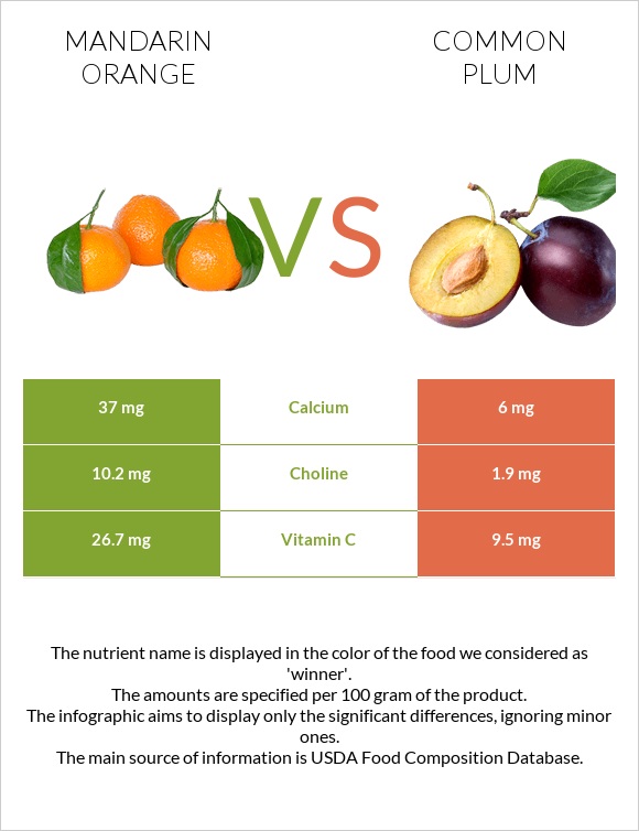 Mandarin orange vs Common plum infographic
