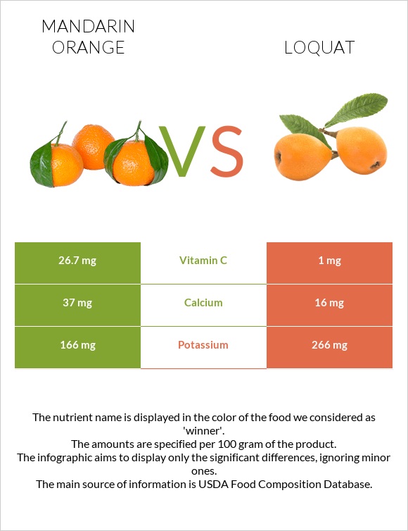 Mandarin orange vs Loquat infographic