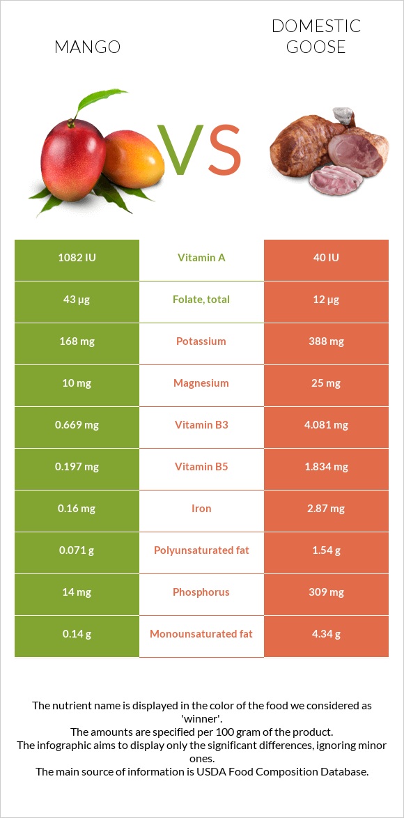 Mango vs Domestic goose infographic