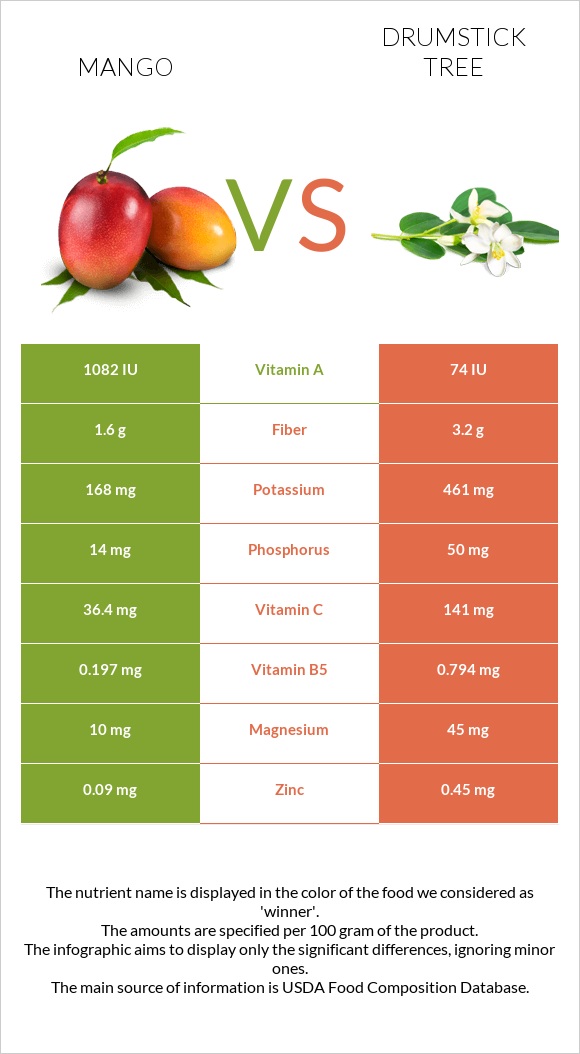 Mango vs Drumstick tree infographic