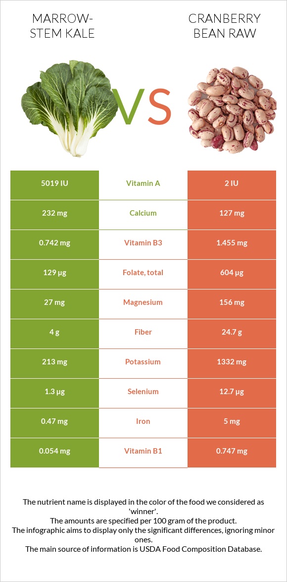 Marrow-stem Kale vs Cranberry bean raw infographic