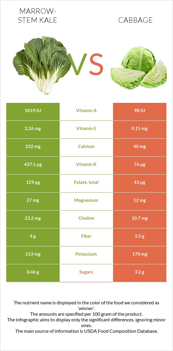 Marrow-stem Kale vs Cabbage infographic