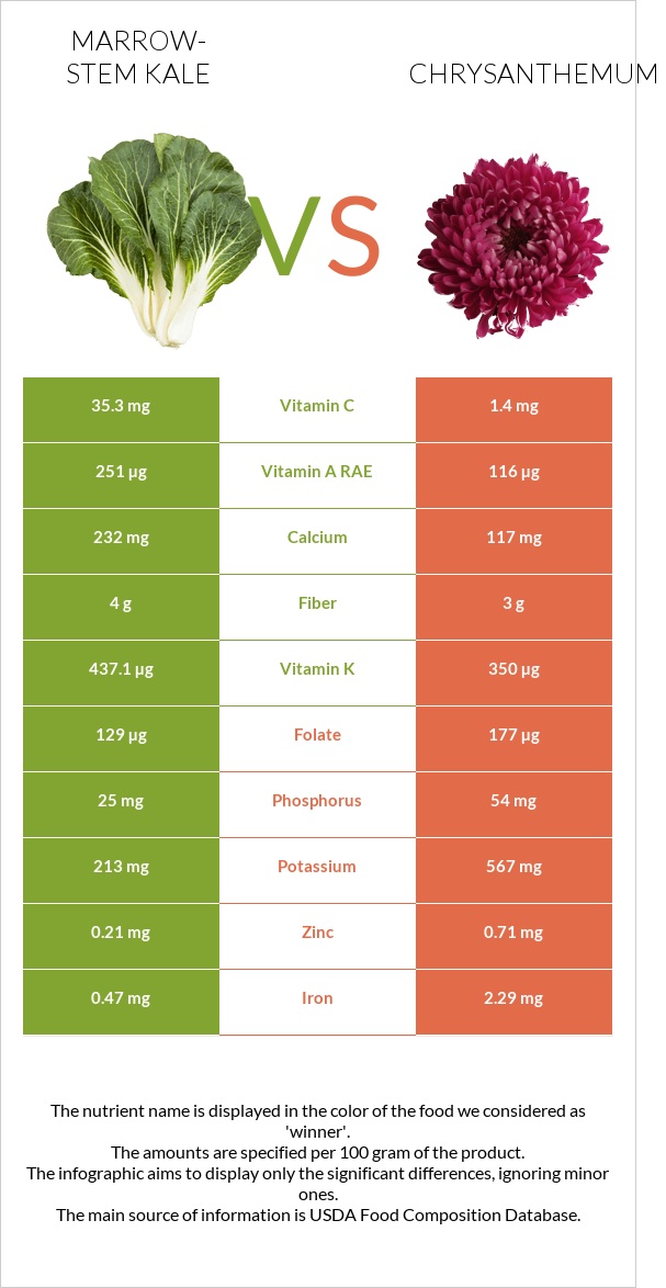 Marrow-stem Kale vs Chrysanthemum infographic