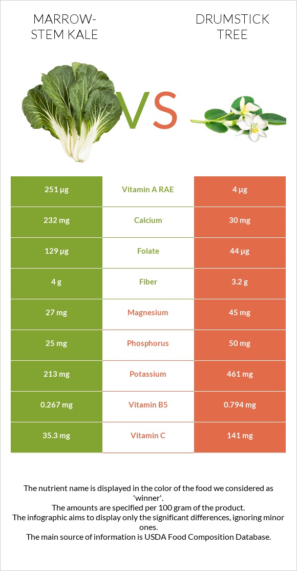 Marrow-stem Kale vs Drumstick tree infographic