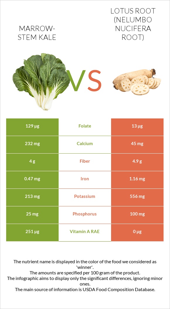 Marrow-stem Kale vs Lotus root infographic