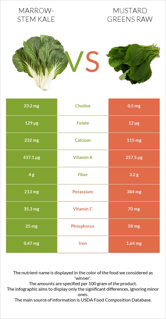 Marrow-stem Kale vs Mustard Greens Raw infographic