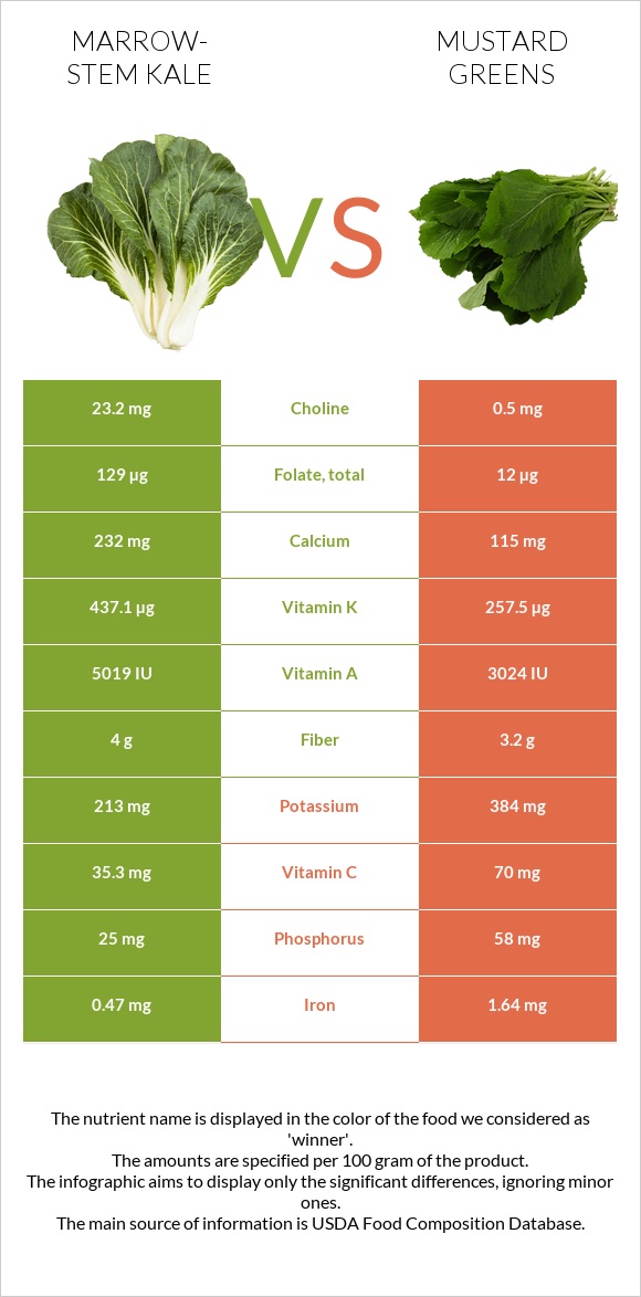 Marrow-stem Kale vs Mustard Greens infographic