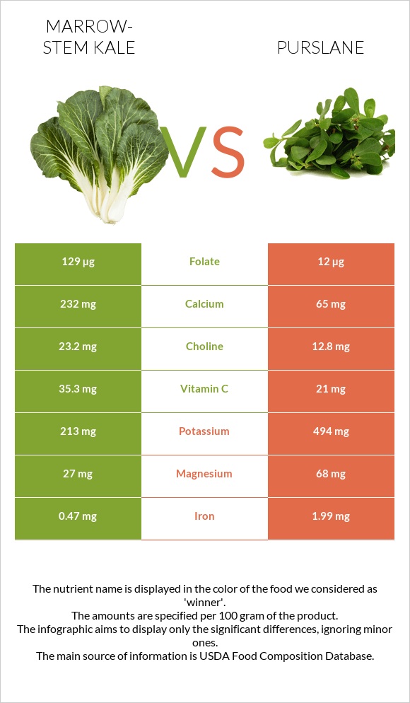 Marrow-stem Kale vs Purslane infographic