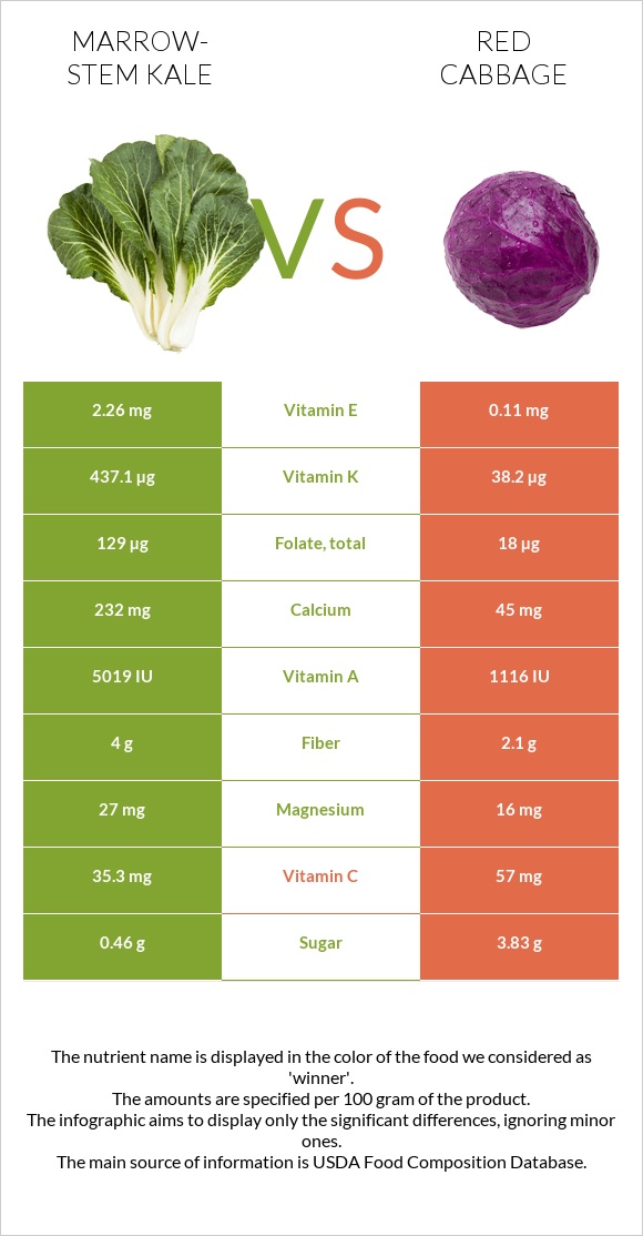 Marrow-stem Kale vs Red cabbage infographic