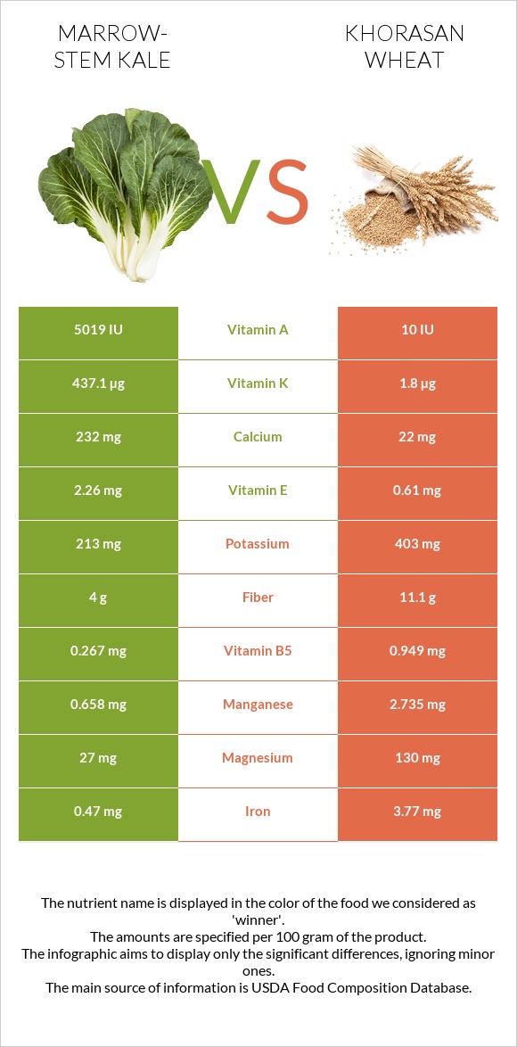 Marrow-stem Kale vs Khorasan wheat infographic