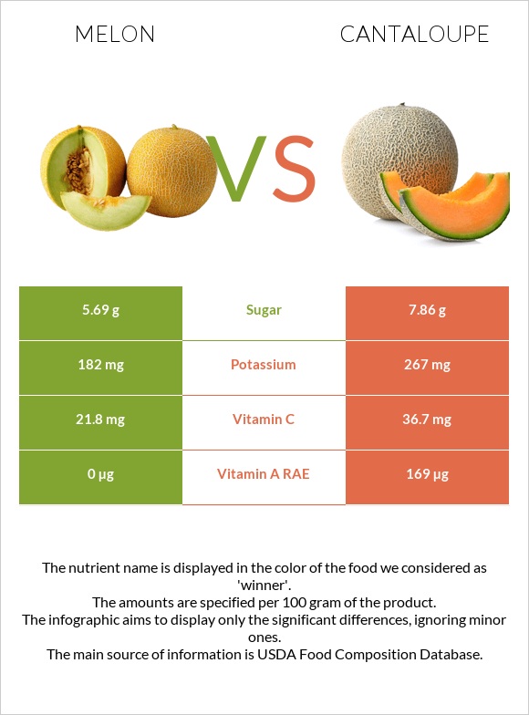 Melon vs Cantaloupe infographic