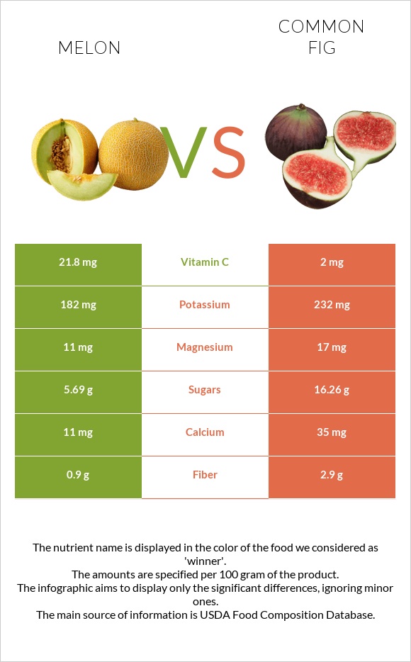 Melon vs Common fig infographic