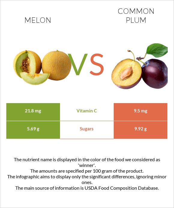 Melon vs Common plum infographic