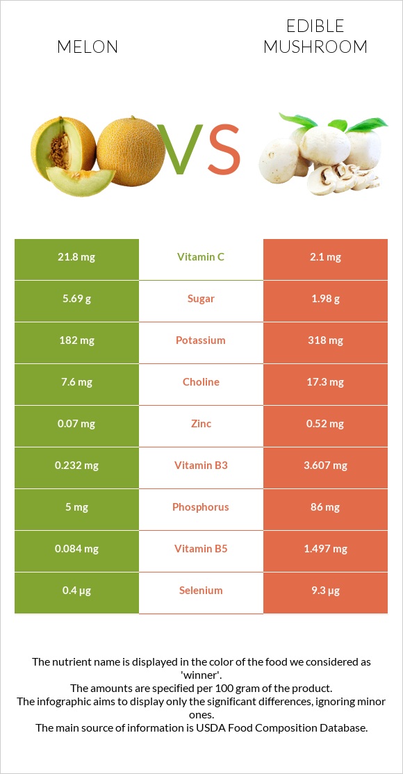 Melon vs Edible mushroom infographic