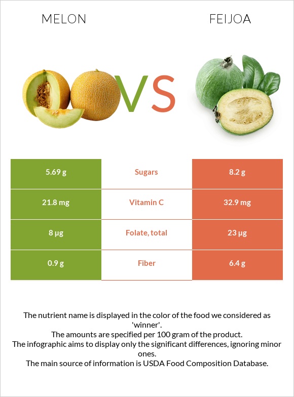 Melon vs Feijoa infographic