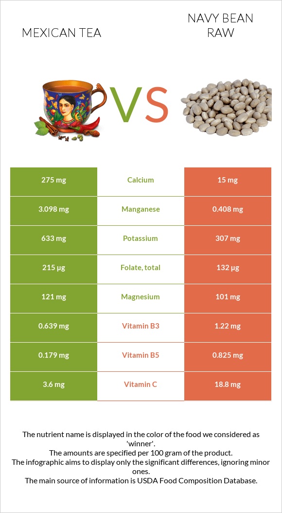 Mexican tea vs Navy bean raw infographic