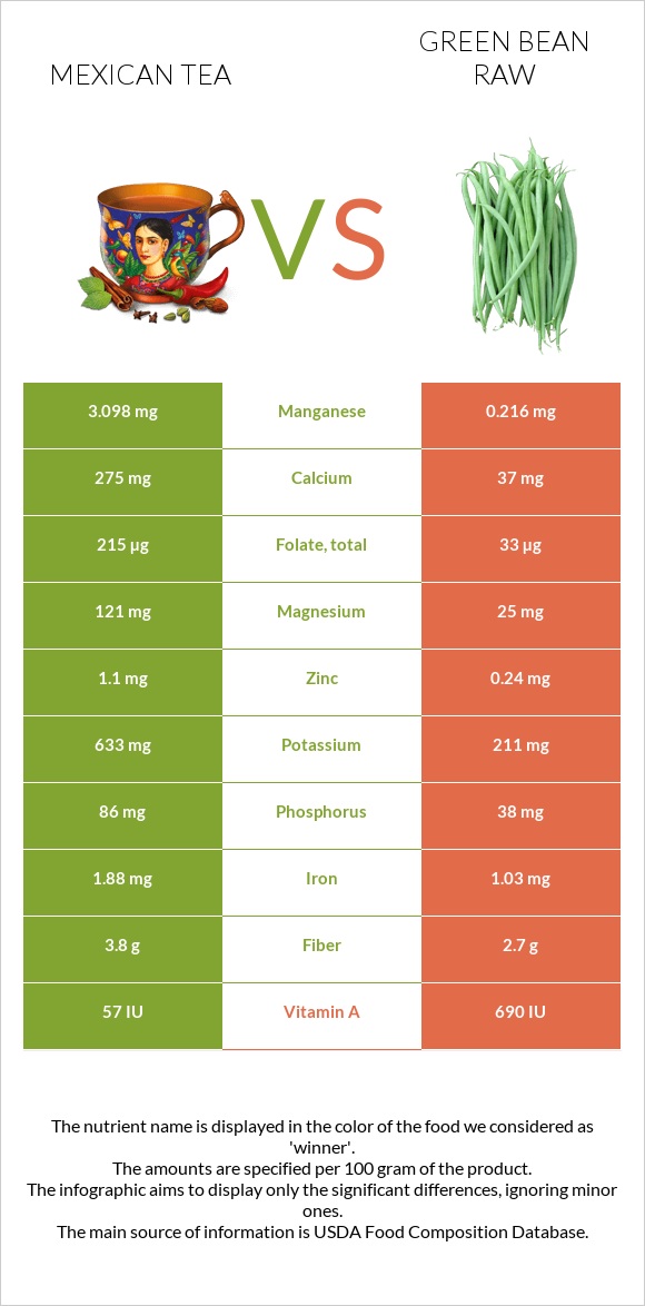 Mexican tea vs Green bean raw infographic