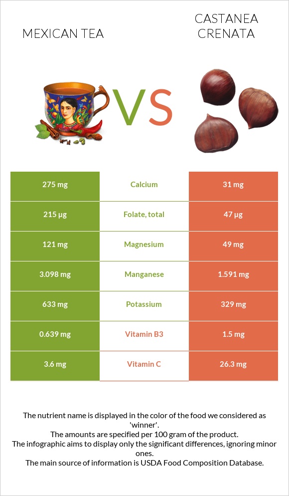 Mexican tea vs Castanea crenata infographic