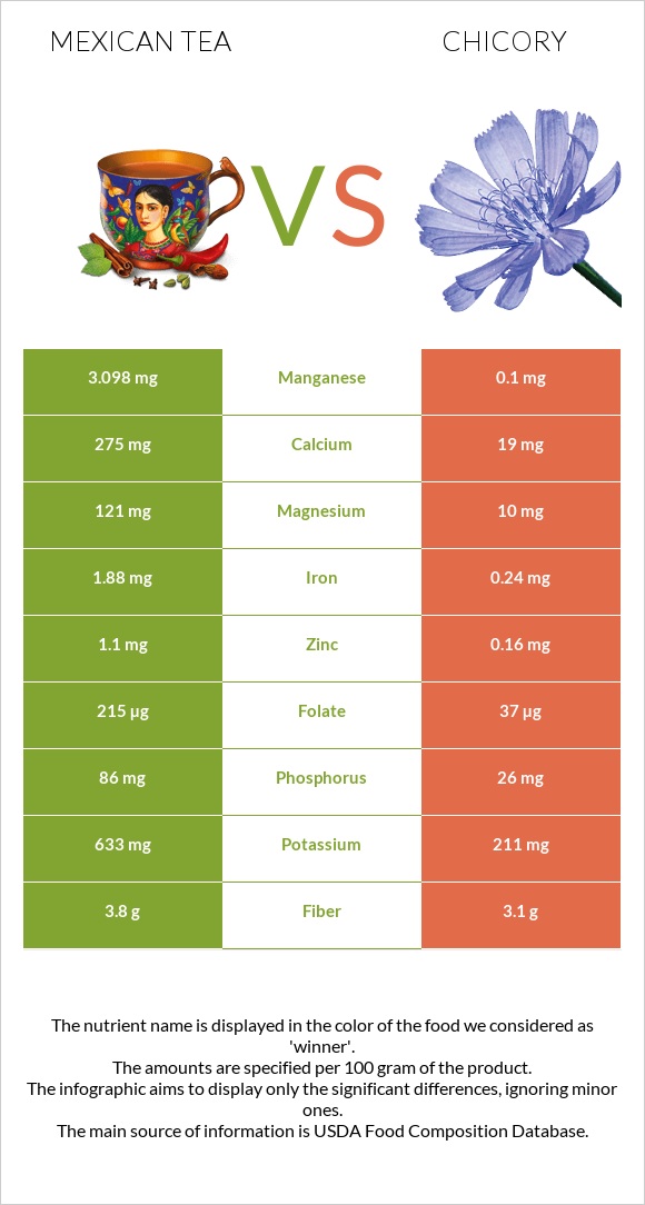 Mexican tea vs Chicory infographic