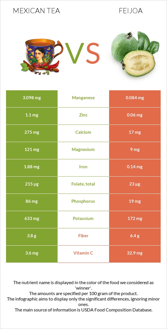 Mexican tea vs Feijoa infographic