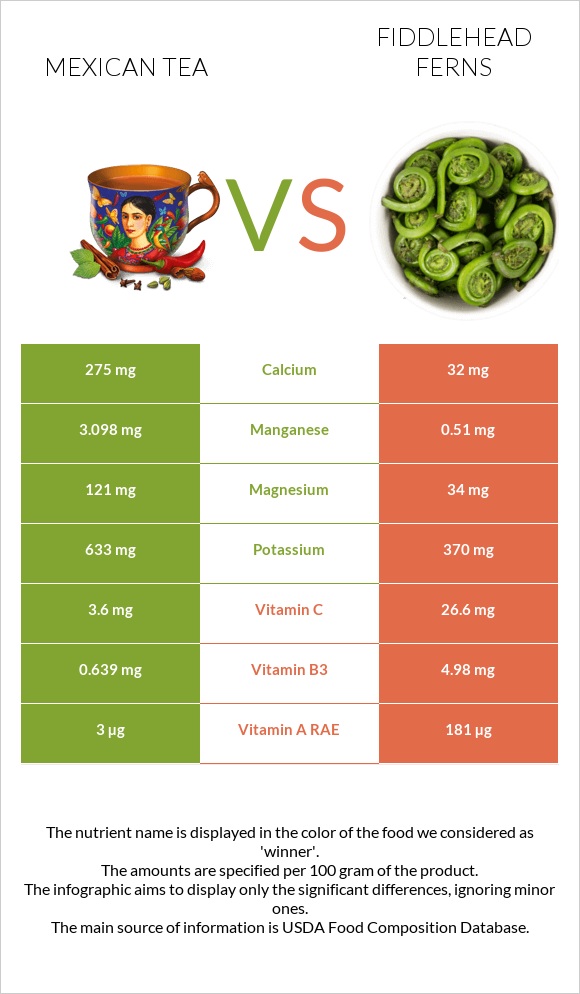 Mexican tea vs Fiddlehead ferns infographic