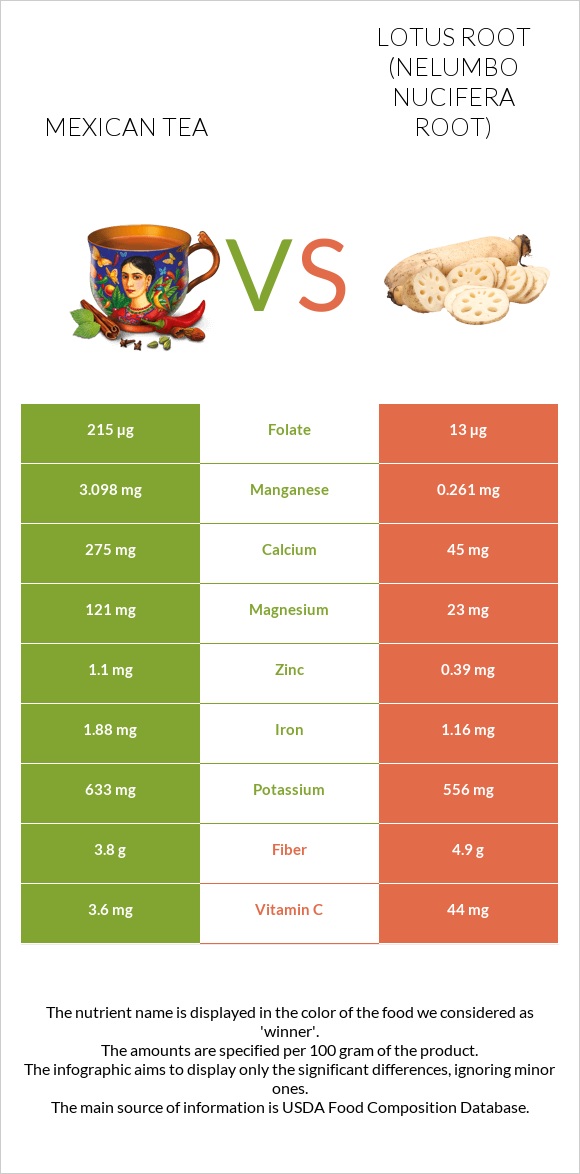 Մեքսիկական թեյ vs Լոտոս արմատ infographic