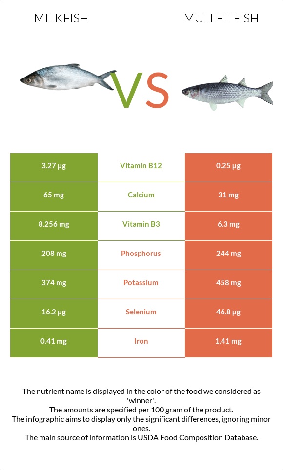 Milkfish vs Mullet fish infographic