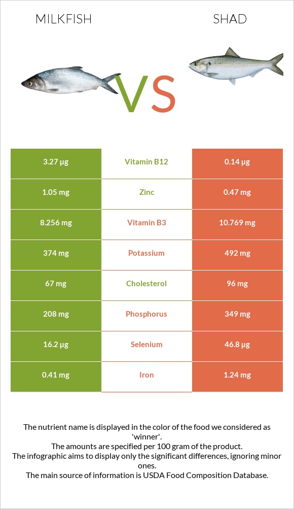 Milkfish vs Shad infographic