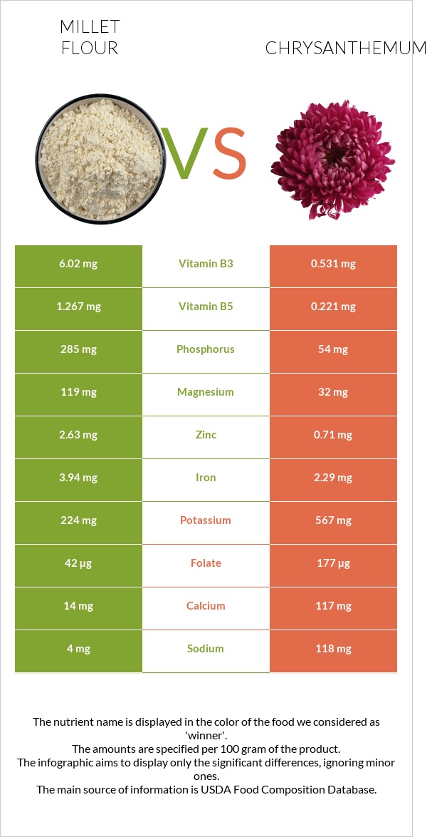 Millet flour vs Chrysanthemum infographic