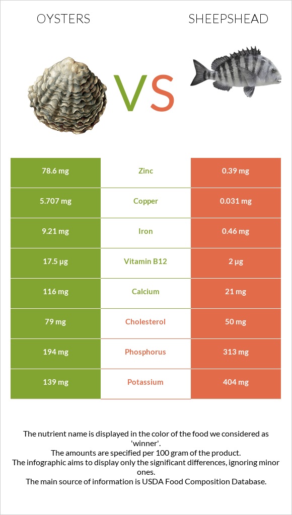 Oysters vs Sheepshead infographic