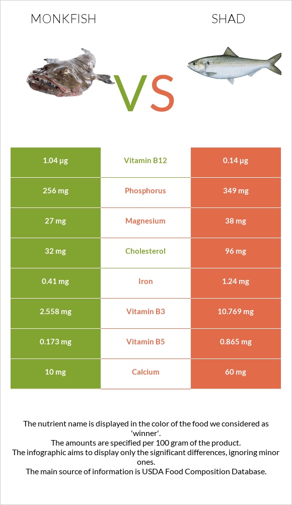 Monkfish vs Shad infographic