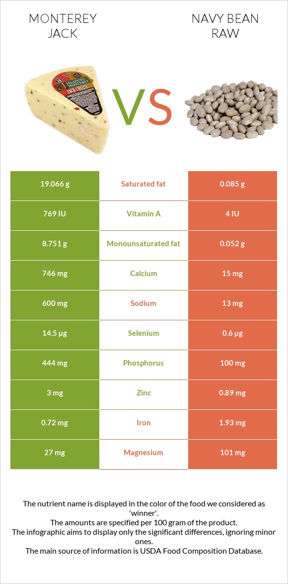 Monterey Jack vs Navy bean raw infographic