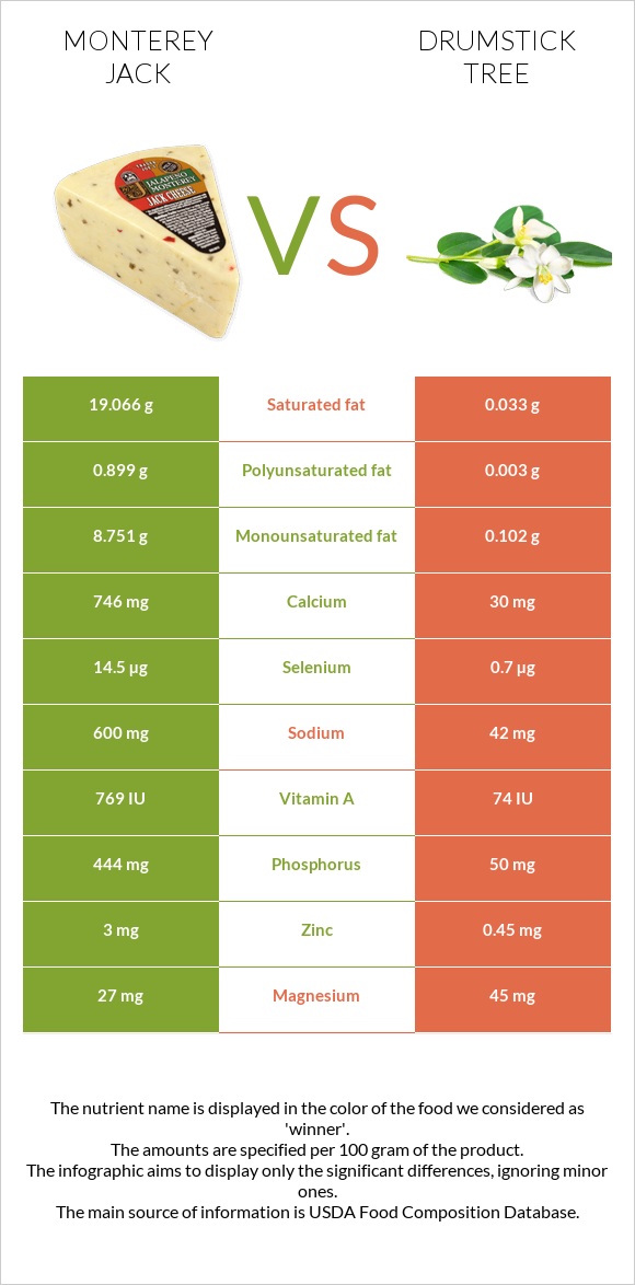 Monterey Jack vs Drumstick tree infographic