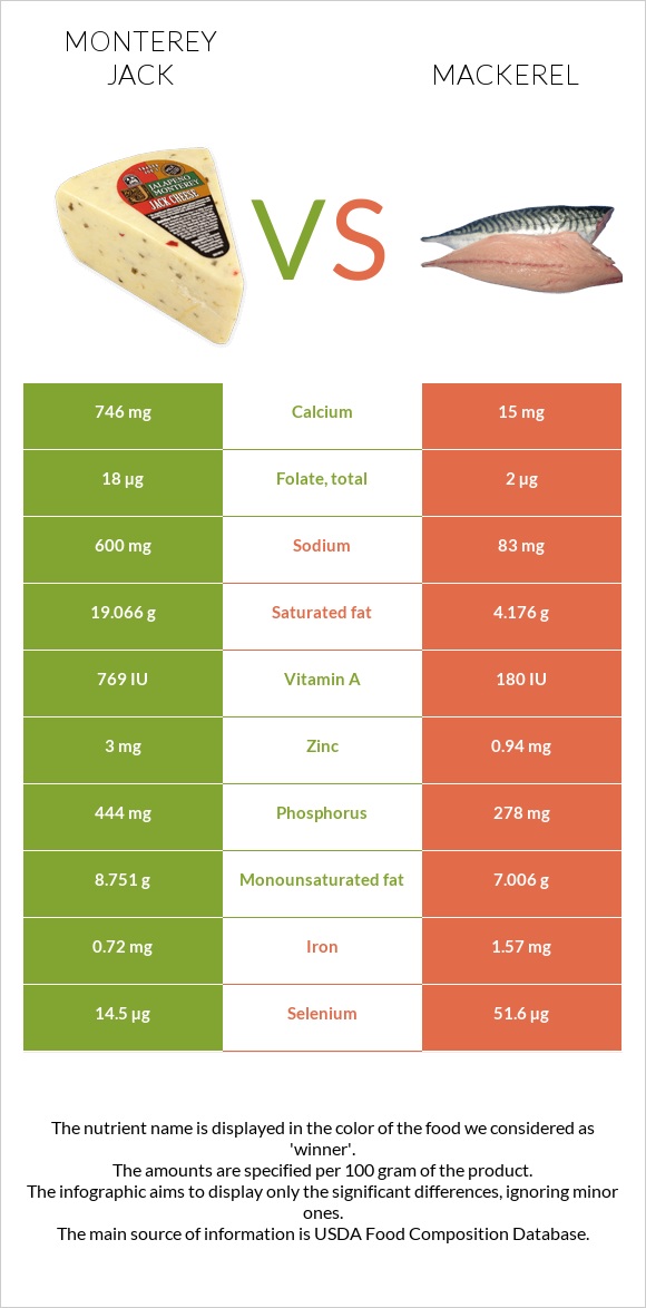 Monterey Jack vs Mackerel infographic