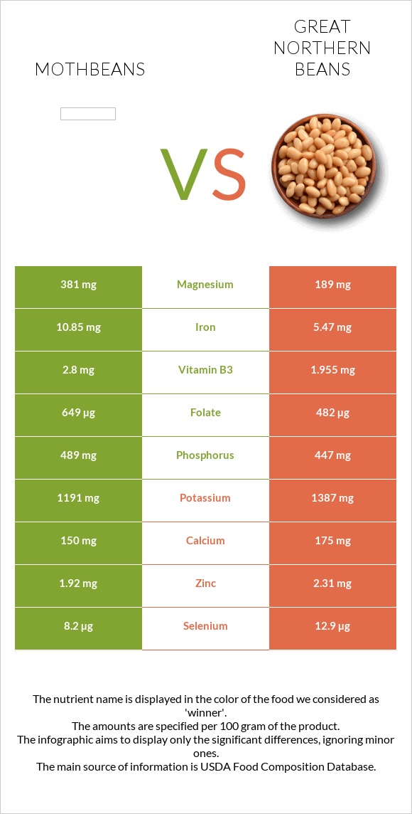 Mothbeans vs Great northern beans infographic