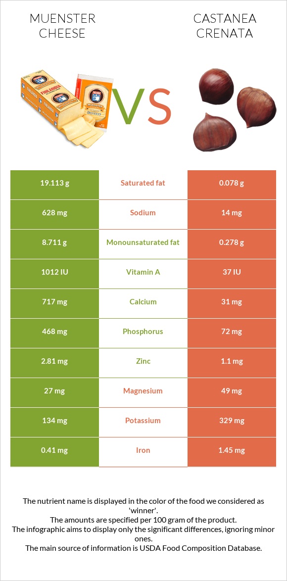 Muenster cheese vs Castanea crenata infographic