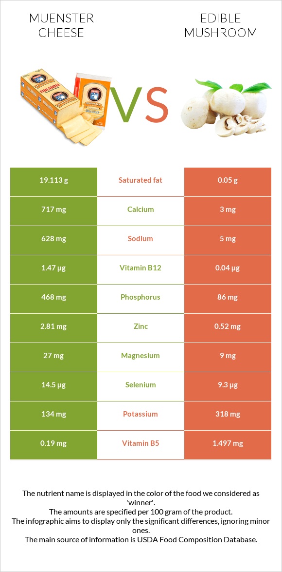 Muenster cheese vs Edible mushroom infographic