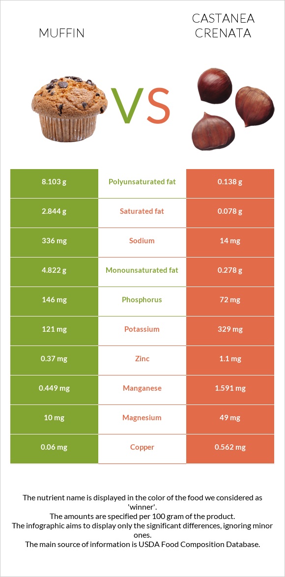 Muffin vs Castanea crenata infographic