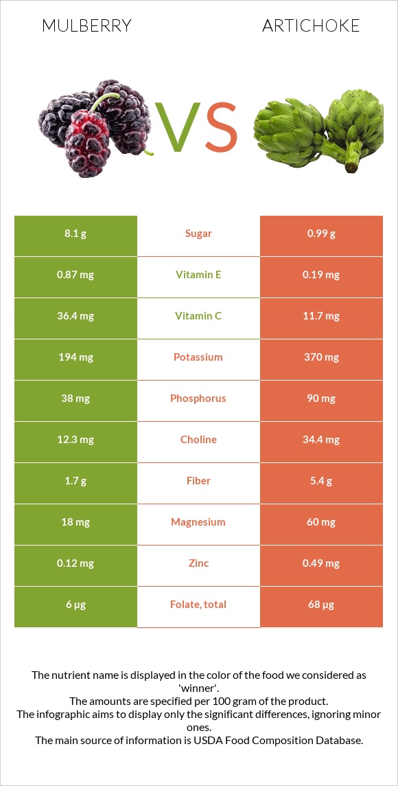 Mulberry vs Artichoke infographic