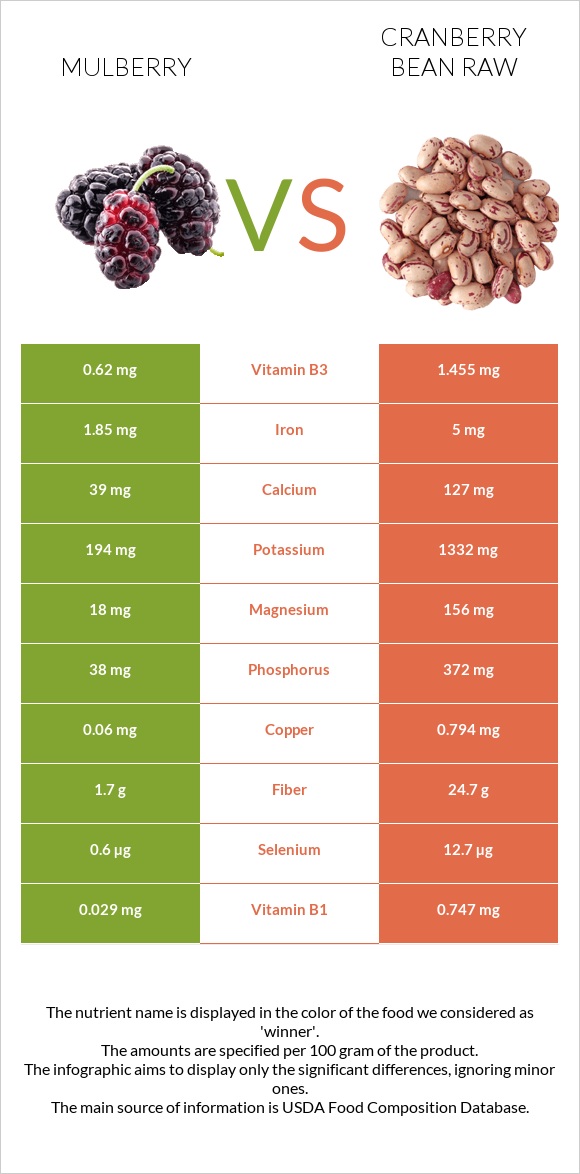 Mulberry vs Cranberry bean raw infographic