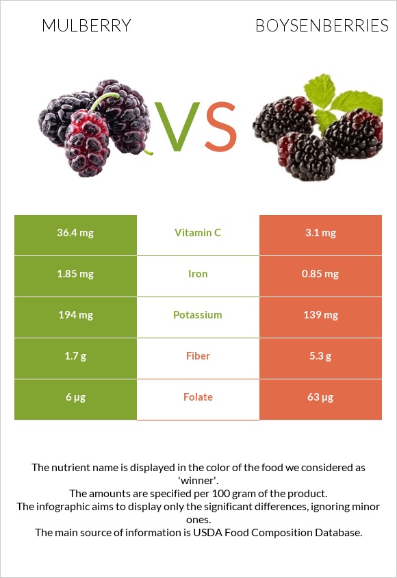 Թութ vs Բոյզենբերրի infographic