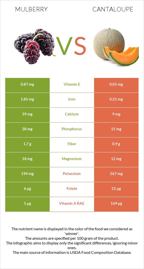 Mulberry vs Cantaloupe infographic