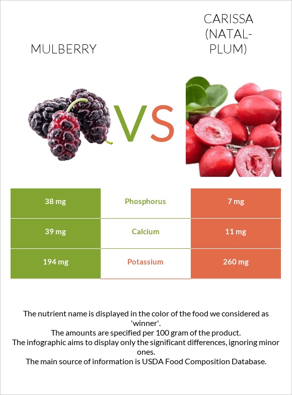 Mulberry vs Carissa (natal-plum) infographic