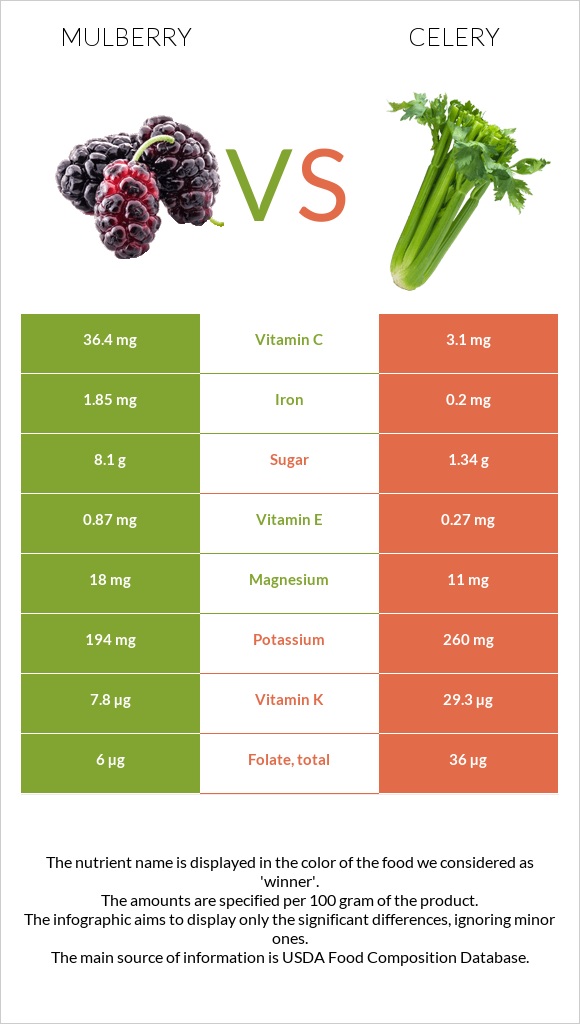Mulberry vs Celery infographic