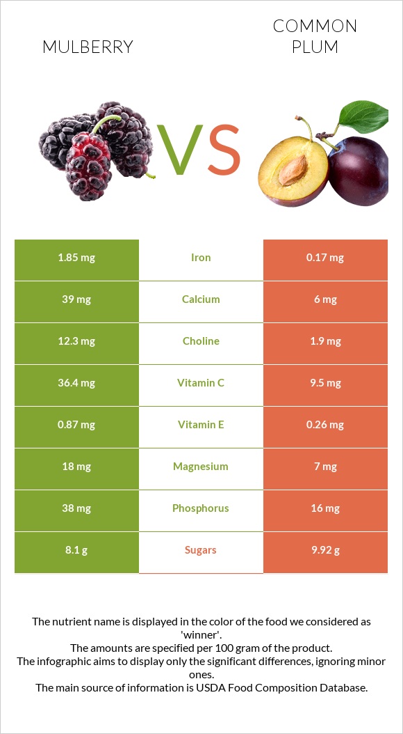 Mulberry vs Common plum infographic
